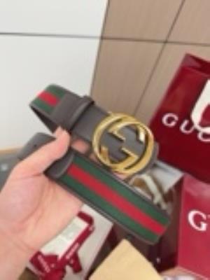 wholesale quality gucci belt model no. 737